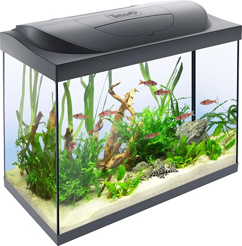 Tetra Starter Line 80 L Aquarium Komplett-Set - inkl. Tag- & Nachtlicht LED-Beleuchtung, Innenfilter, Heizer, Fischfutter und Wasseraufbereiter - 1