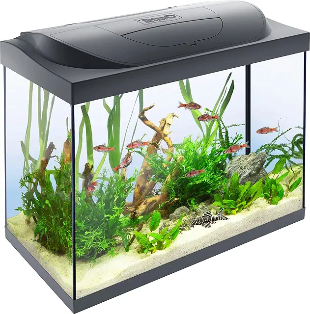 Tetra Starter Line 80 L Aquarium Komplett-Set mit LED, Filter und Heizer