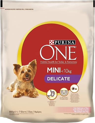 Purina ONE - Mini pienso para Perro, Delicado, con salmón y arroz, para Perros d