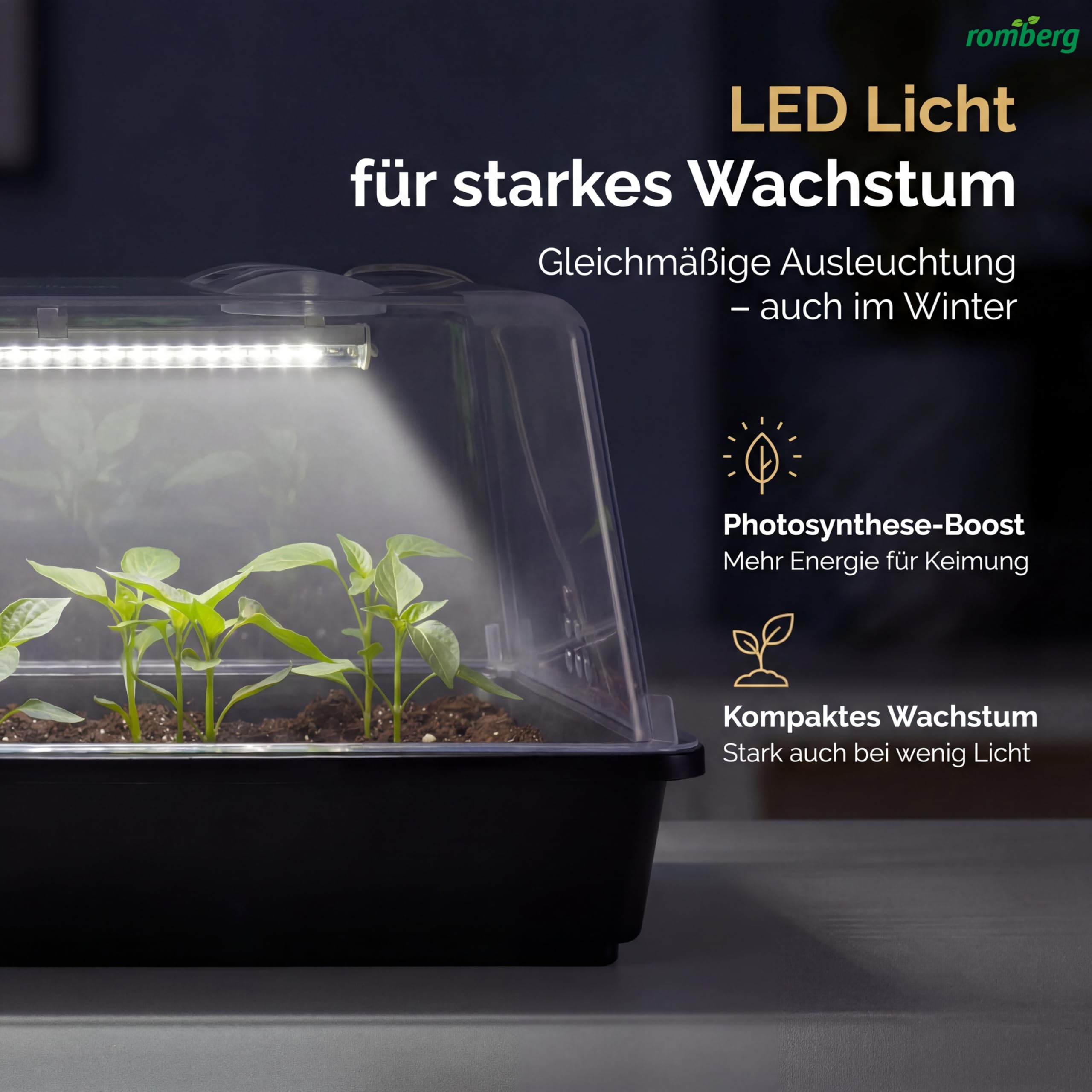 Romberg Lumio M LED Serre très Stable, avec Ventilation et éclairage LED pour Plantes, 38 x 24 x 19 cm, Anthracite