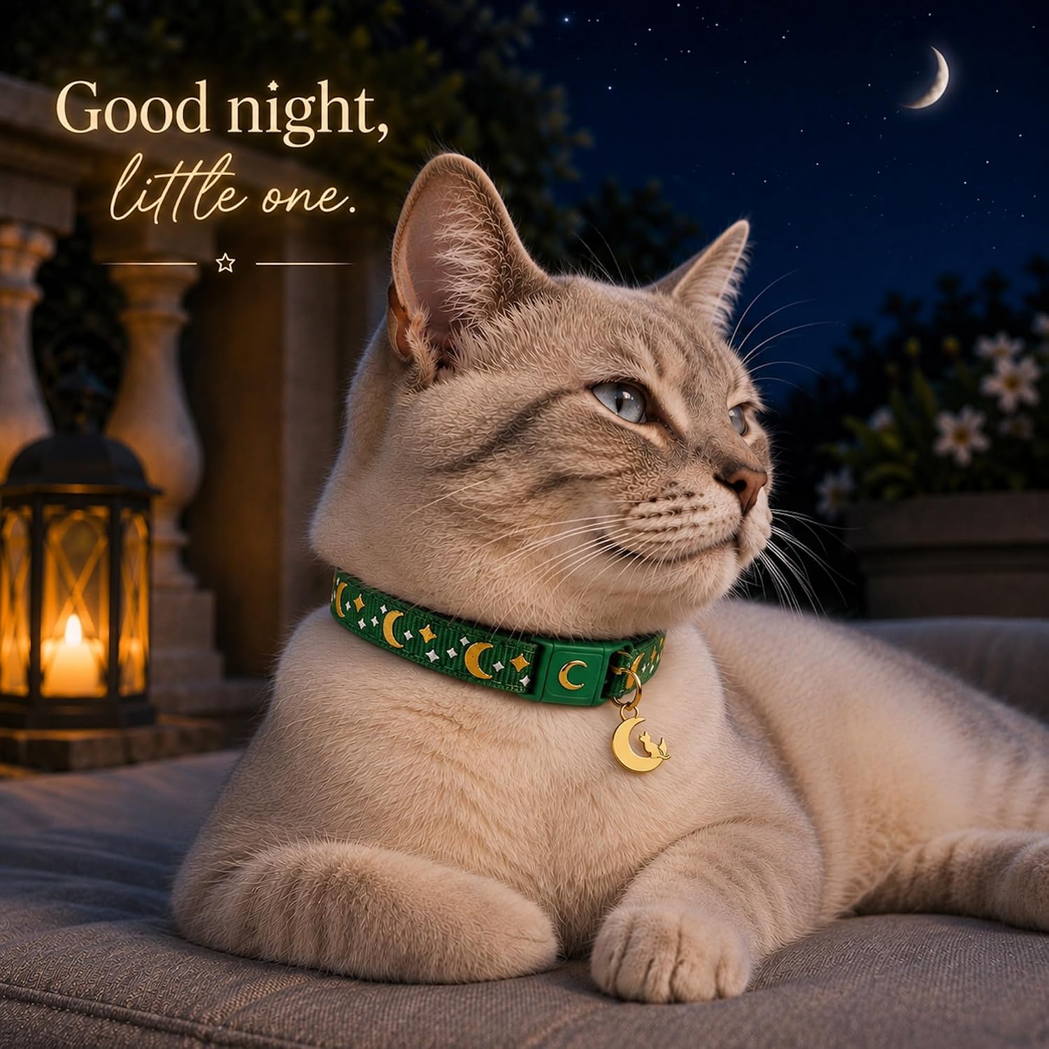 Breakaway Cat Collar with Bell for Kittens & Cats image 3