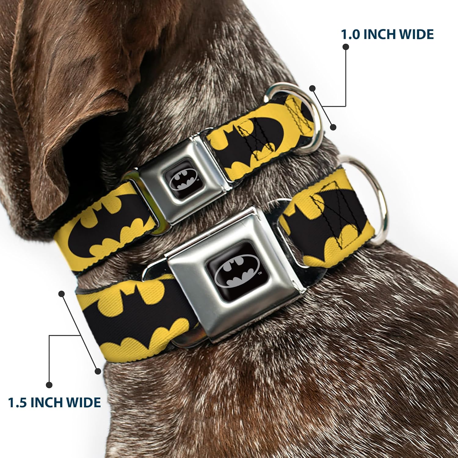 Buckle-Down DC-WBM002-L BMA Batman Black/Silver Dog Collar