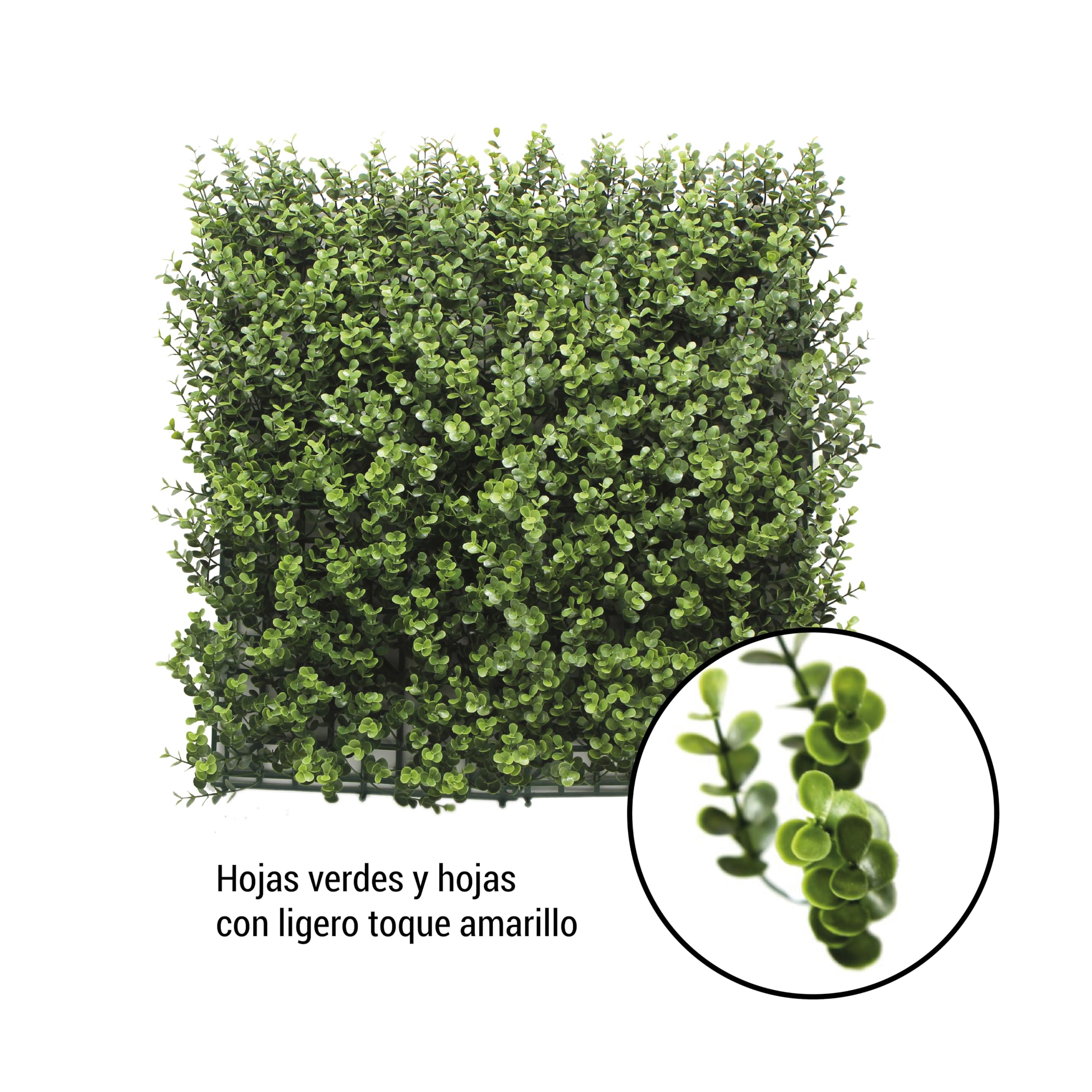 Amazon.de: BONERVA | Vertikaler Garten BUXUS | Kunstpflanzen zur  Wanddekoration im Innen- und Terrassenbereich | Tasche 4 Stck 50 x 50 cm