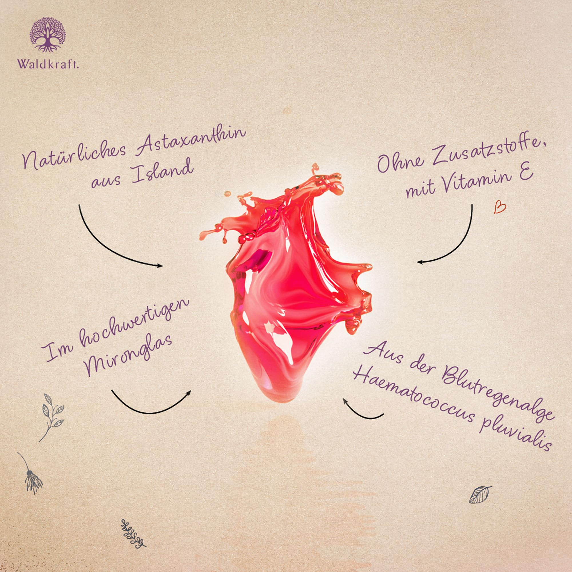 Waldkraft Astaxanthin Tropfen aus Island 100ml – natürliches Oleoresin aus der Alge Haematococcus pluvialis – hochdosierte Tropfen in MCT-Öl angereichert mit natürlichem Vitamin E