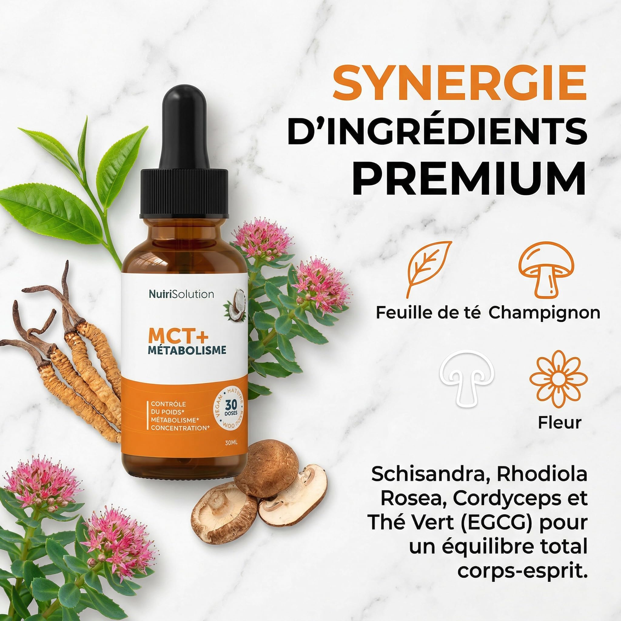 MCT+ par Nutrisolution: Extrait d'Huile de Coco Premium - Stimule le Métabolisme avec Schisandra, Rhodiola & Thé Vert - Brûle la Graisse Abdominale - 30ml Gouttes Liquides (1)