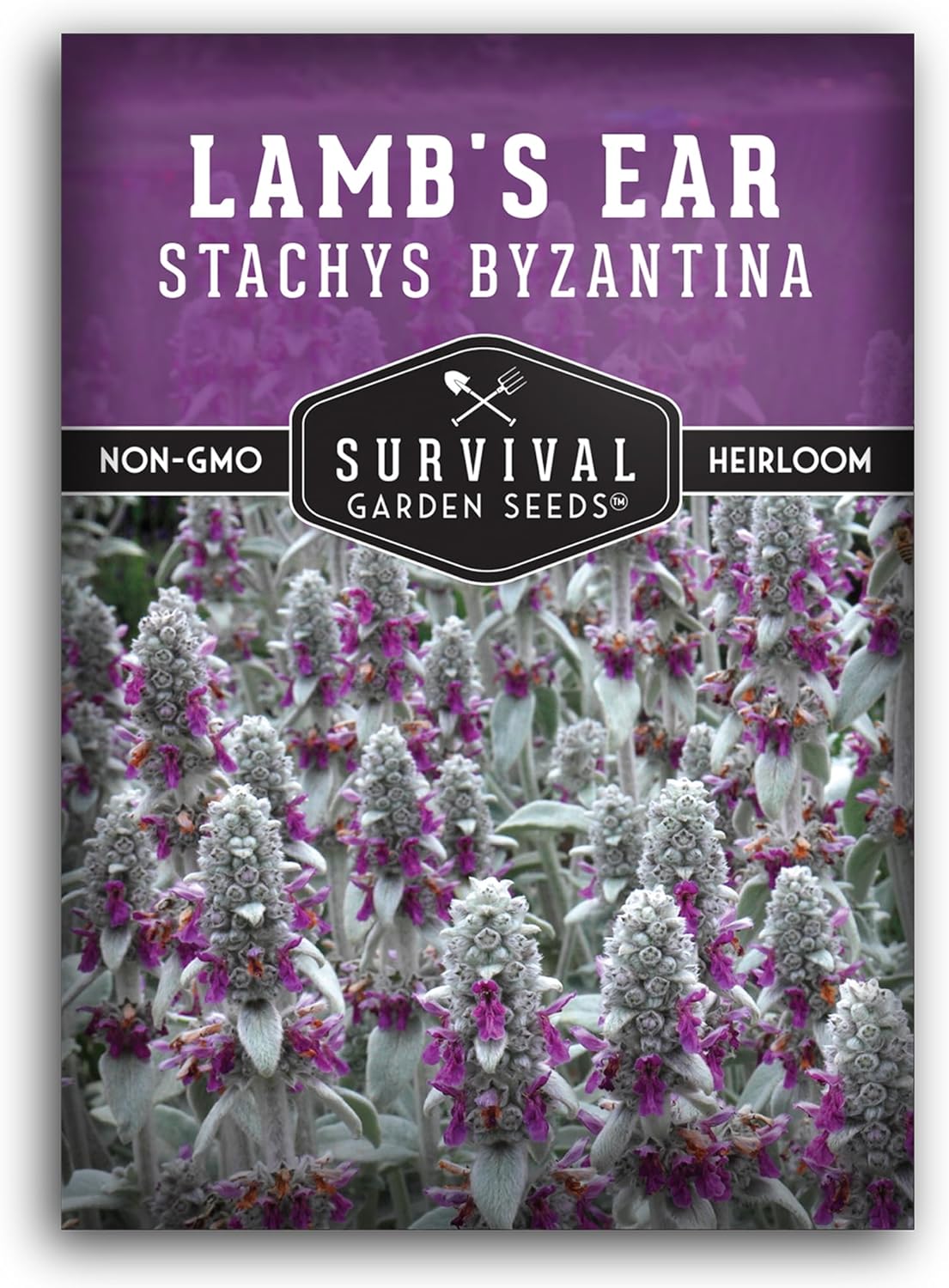 Lamb's Ear Seeds for Planting 1 Packet with Instructions