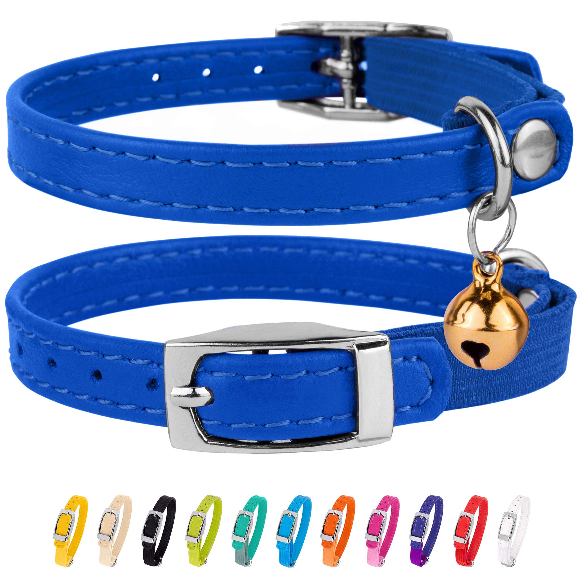 light blue kitten collar