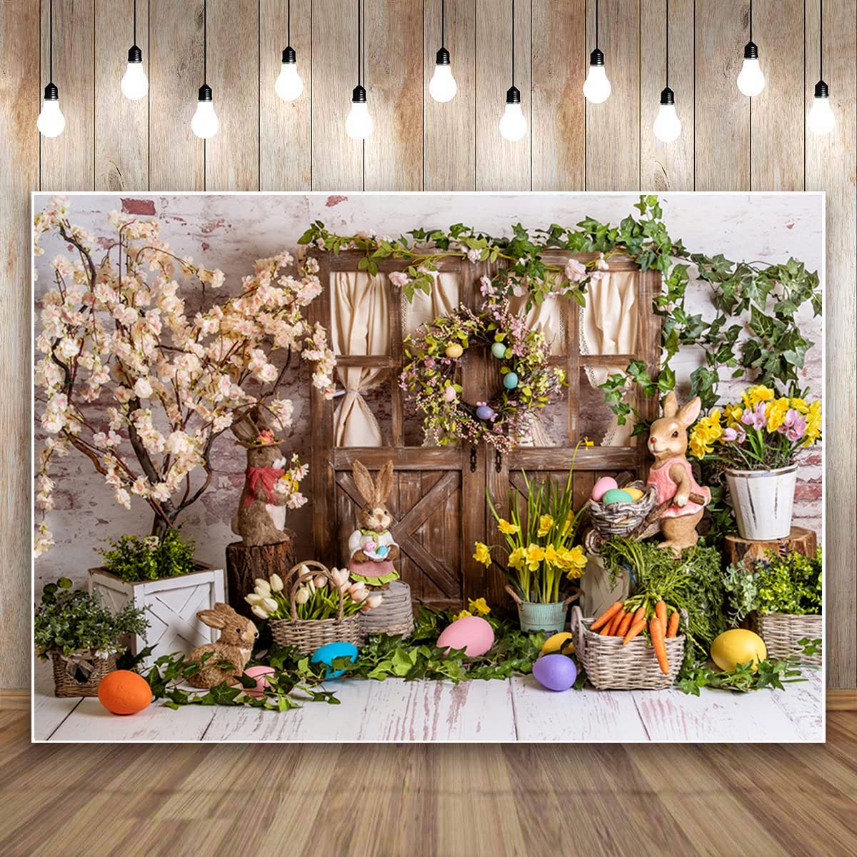 Photo Studio Background