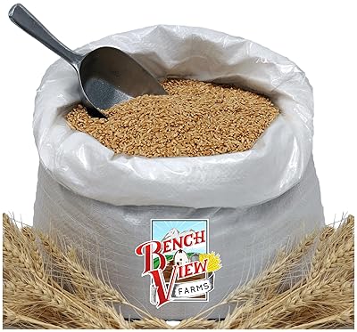 Organic Hard White Wheat Berries - 24lbs