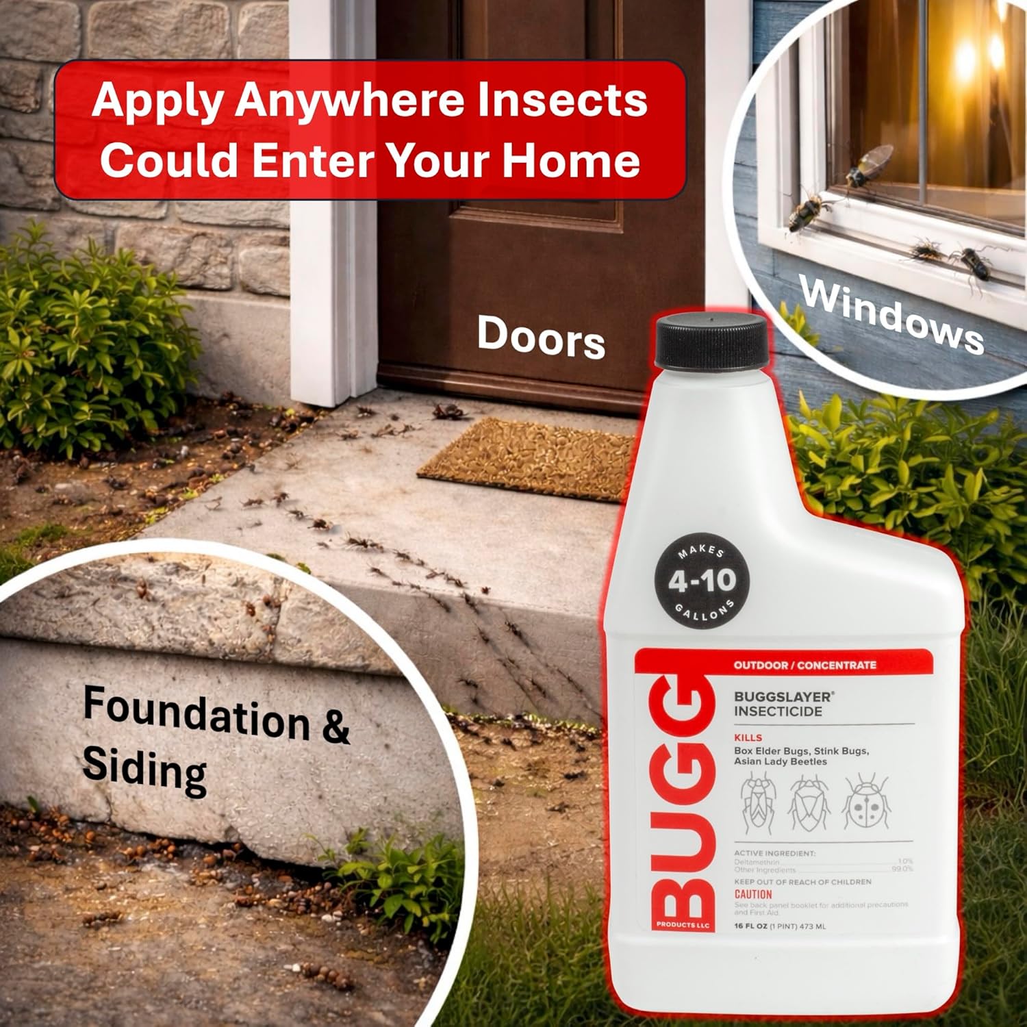 BUGGSLAYER Insecticide - Concentrate - Outdoor Box Elder Bugs, Stink Bugs, Asian Lady Beetles - 16 oz Bottle