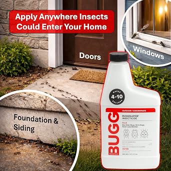 BUGGSLAYER Insecticide Concentrate Outdoor Insect Control - 16 oz Bottle | Outdoor use, Control Box Elder Bugs, Stink Bugs, Asian Lady Beetles, Armyworms, Ants & Many More, Odorless, Non-Staining