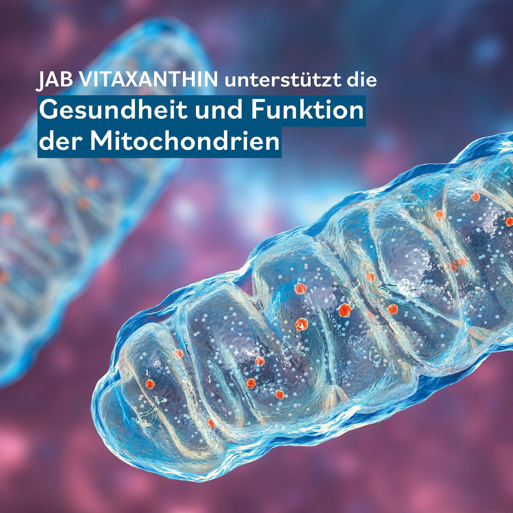 JAB Vitaxanthin - Mikronährstoff-Komplex - 240 vegetarische Kapseln