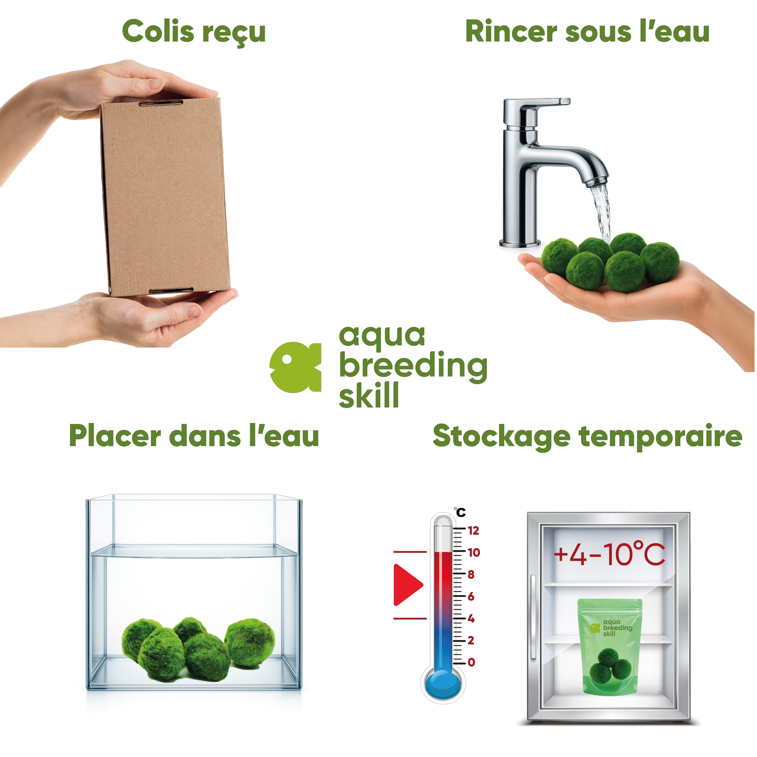 AquaBreedingSkill – Grand Format 3–4 cm – Lot de 7 Marimo Moss Balls – Plante Aquarium Vivante Naturelle | Filtre Biologique | Décoration Écologique | Entretien Facile | Idéal pour Nano Aquarium