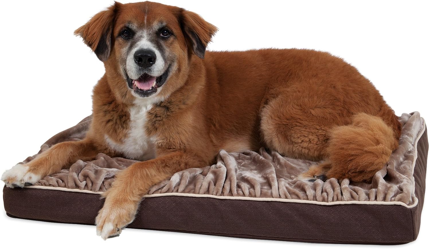 Petmate Dig & Burrow Orthopedic Bed Pet Supplies