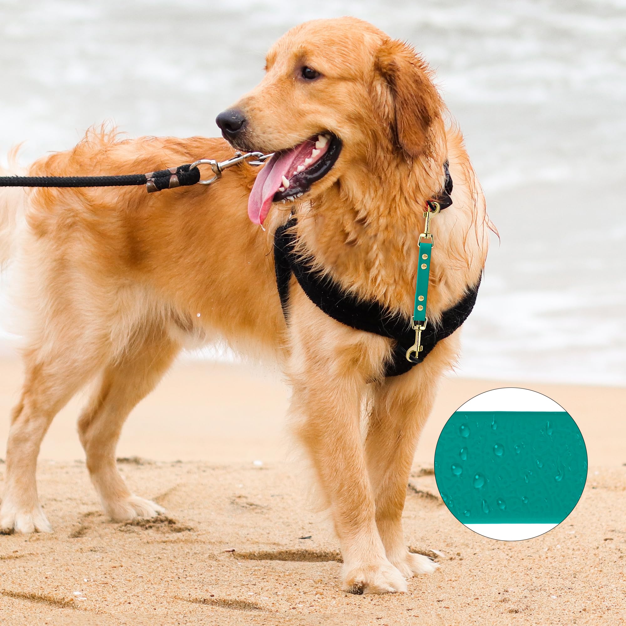 PetBonus Dog Collar Safety Clip - Image 3