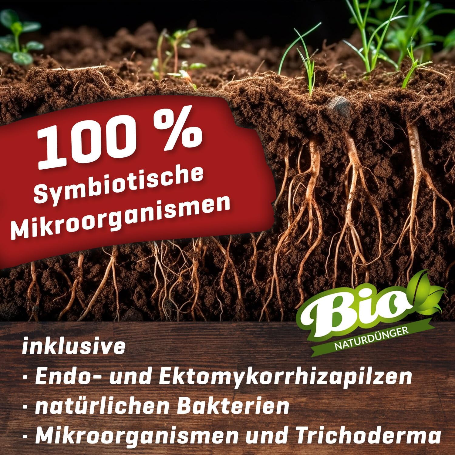 Myco Rhiza Mykorrhiza Wurzelaktivator für Stecklinge und Jungpflanzen, organisch konzentriertes Pulver, Bewurzelungspulver Booster mit Mikroorganismen und Trichoderma, 250 g