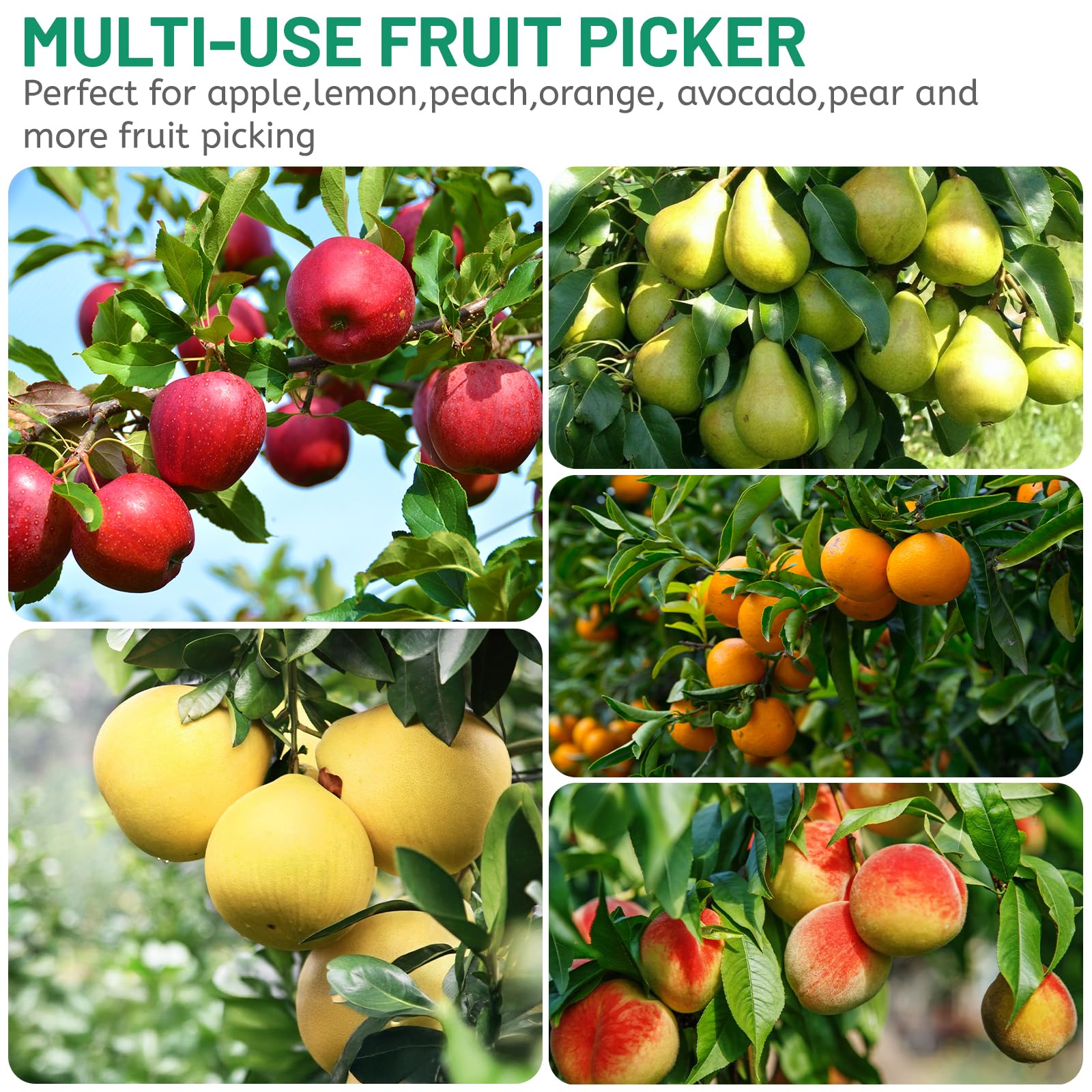DBREAKS 2,4 M Cueille Fruit Telescopique, Fruit Outil Cueillette avec Sac en Coton, Cueille Fruit Telescopique pour la RéColte des Pommes, Cerises, Poires, PêChes