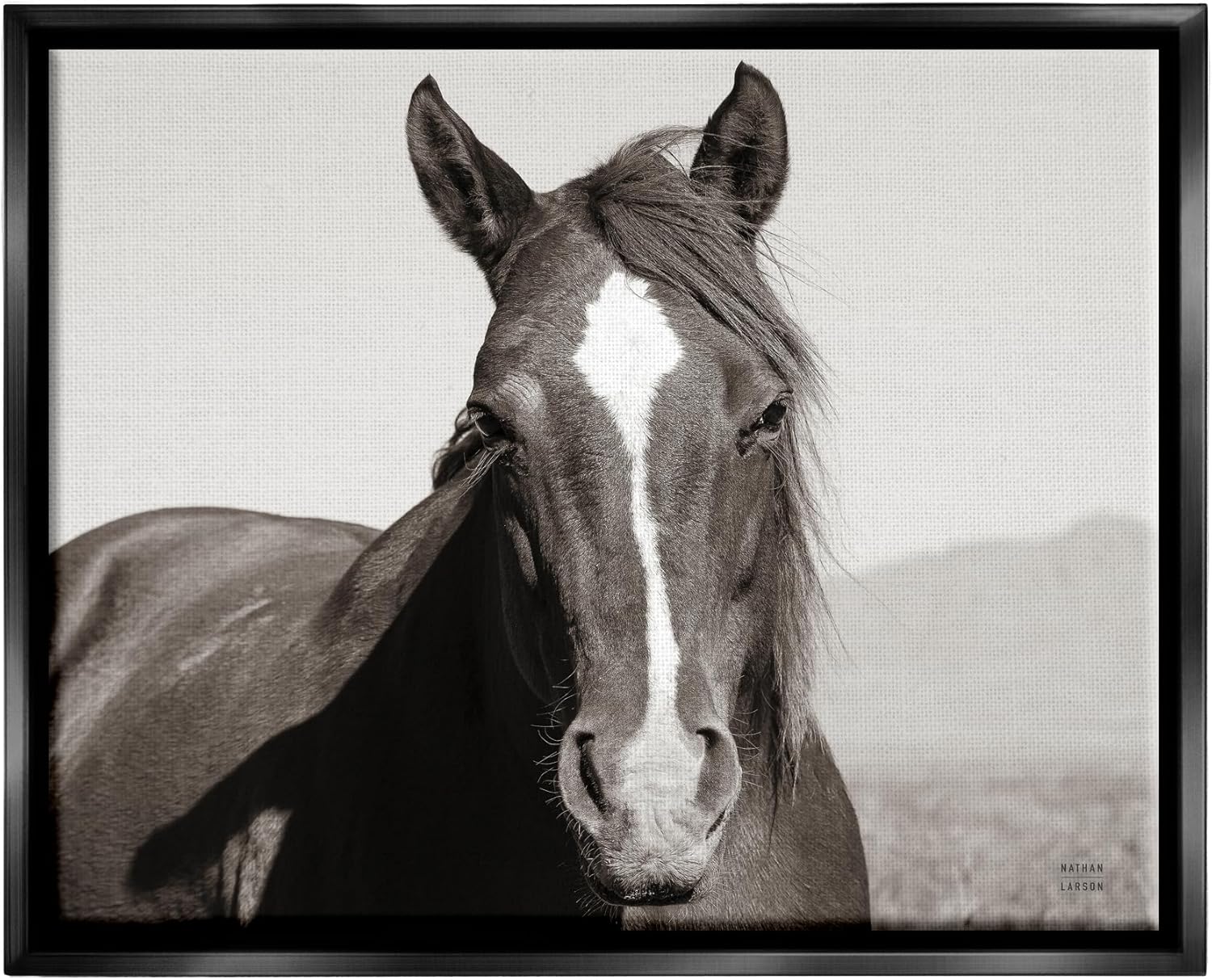 Stupell Industries Windblown Stallion Portrait Black Framed Floater Canvas Wall Art Design by Nathan Larson