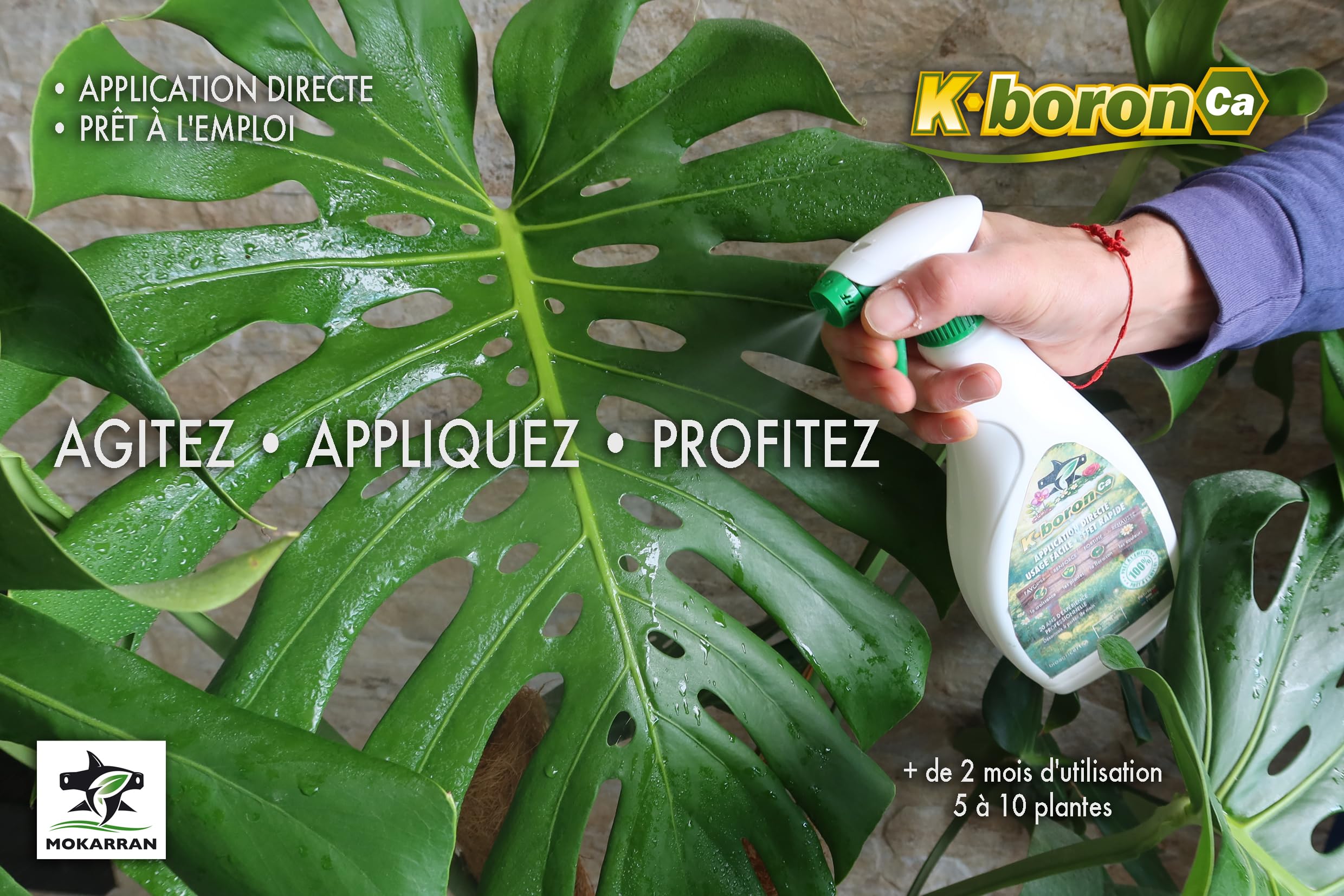 Spray Foliaire Liquide 750ml- Engrais Prêt à l'Emploi-Favorise Floraison & Croissance - Plantes Vertes, Jardin et Potager