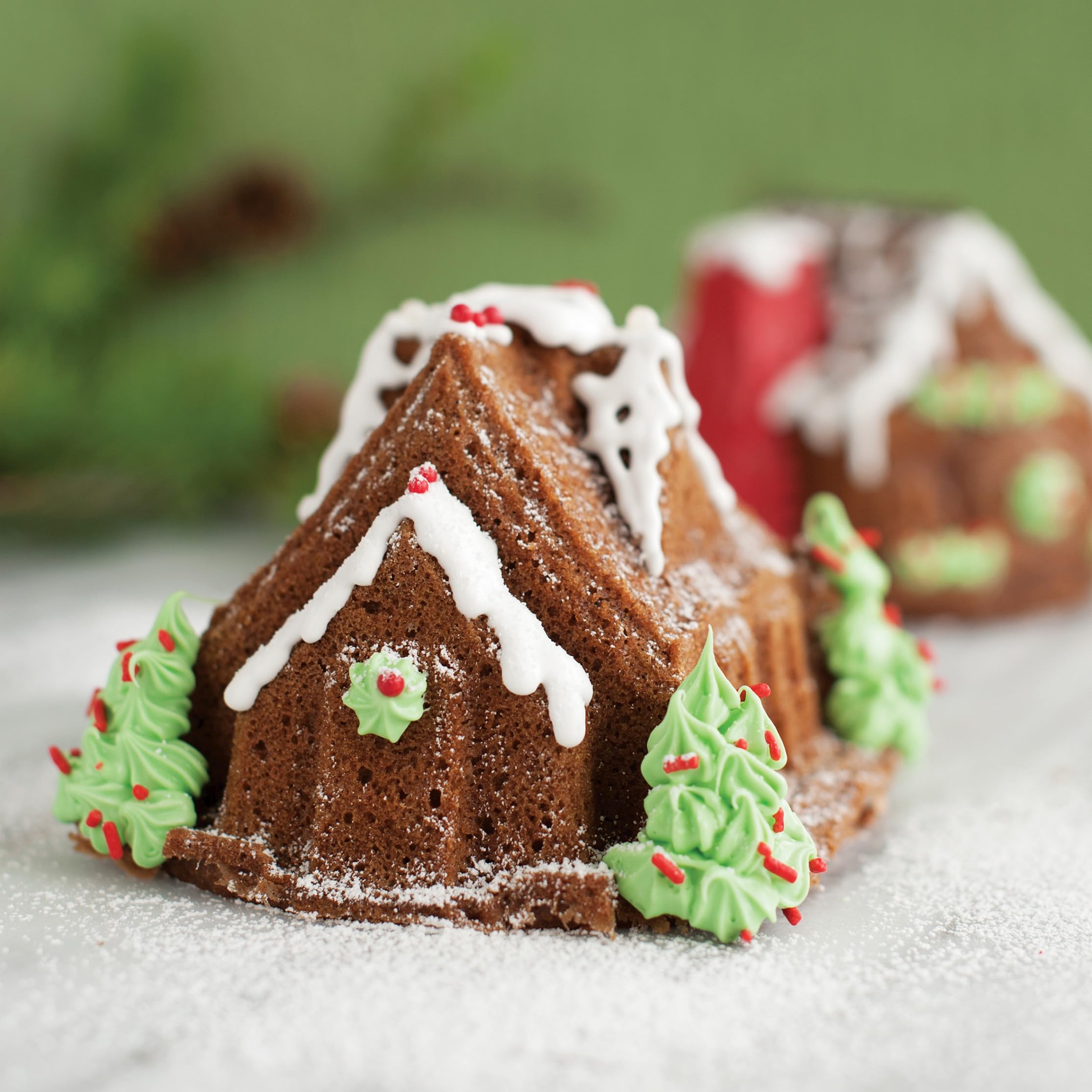 Nordic Ware Lebkuchenhaus Doppel-Backform, Aluminiumguss-Lebkuchenhausform mit 2 einzigartigen Designs, Antihaft-Kuchenform, Hergestellt in den USA, Farbe: Silber