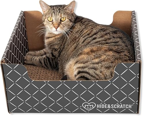 Hide & Scratch: Extra-Large Heavy Duty Cardboard Cat Scratcher and Lounger Box with Refillable Scratch Pad - Multiple Colors