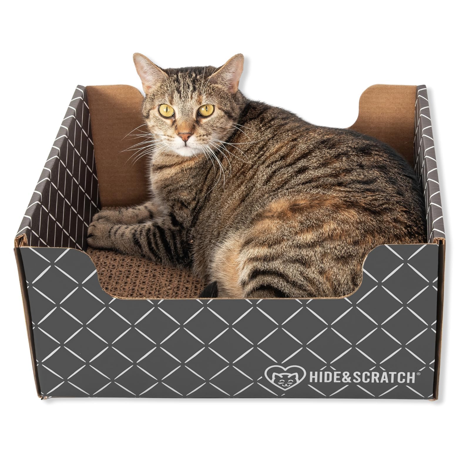 Hide & Scratch Box