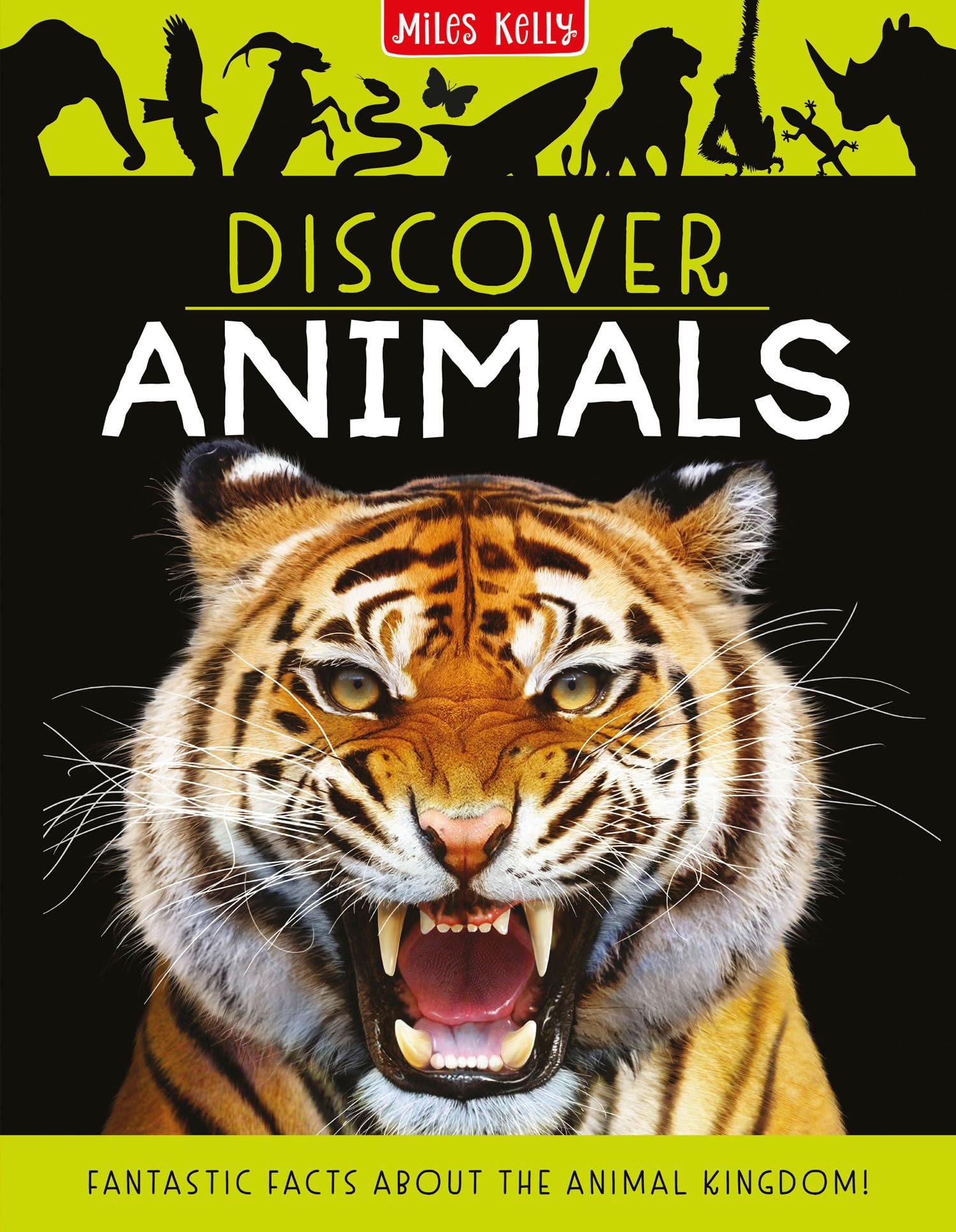 Discover Animals: Stunningly presented information in a gift book package – perfect for curious minds aged 7 and above.