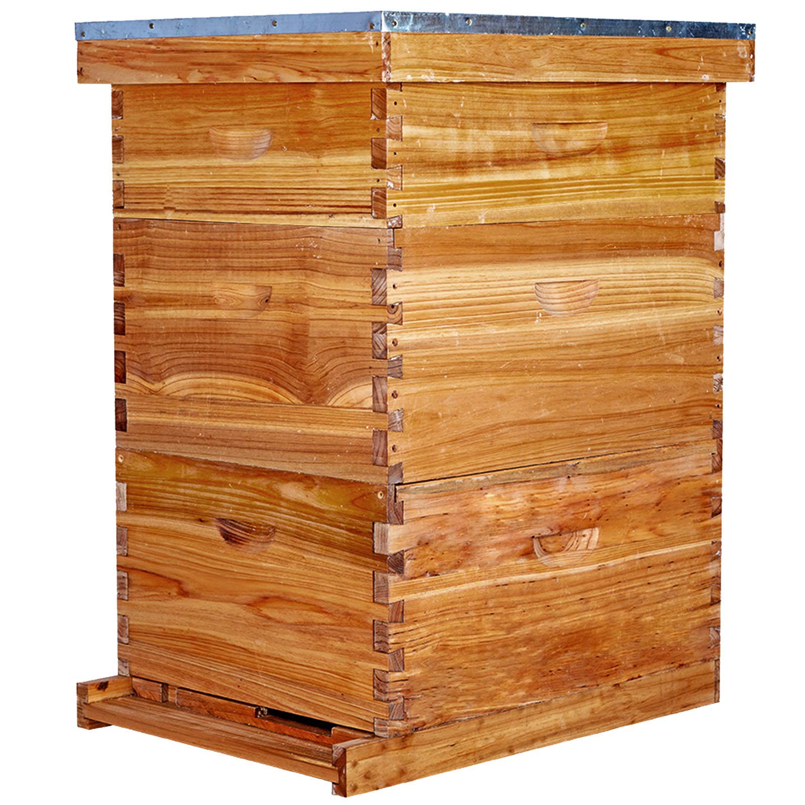 Buy Bee Hive 10 Frame Bee Hives and Supplies Starter Kit, Bee Hive for