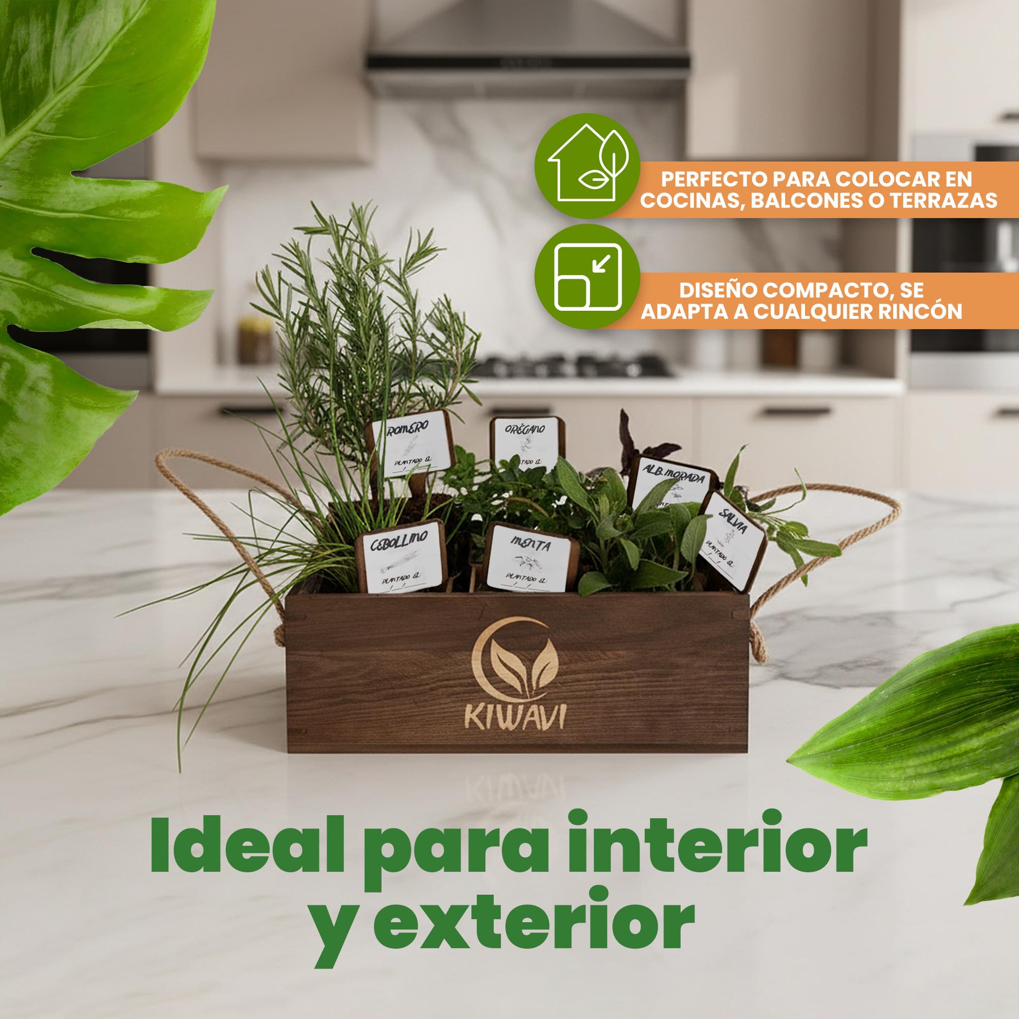 Kit de Cultivo de Plantas Aromáticas Culinarias - Mini Huerto Urbano para Interior con Romero, Menta, Albahaca Morada, Cebollino, Salvia y Orégano | Huerto en Casa
