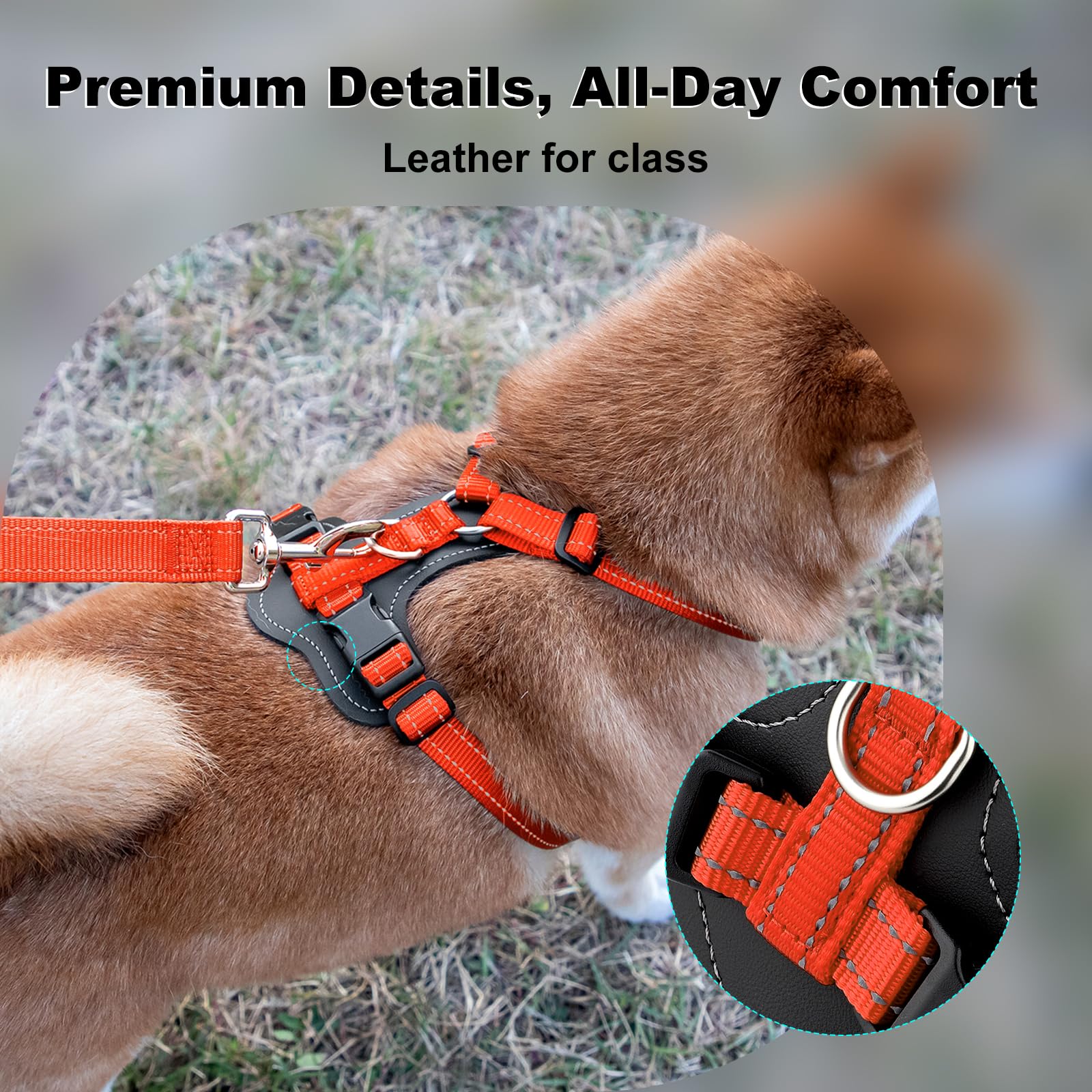 Plutus Pet Adjustable No Pull Dog Harness with Leather Accents, Heavy Duty Reflective Nylon Vest for Training Hiking - Image 2