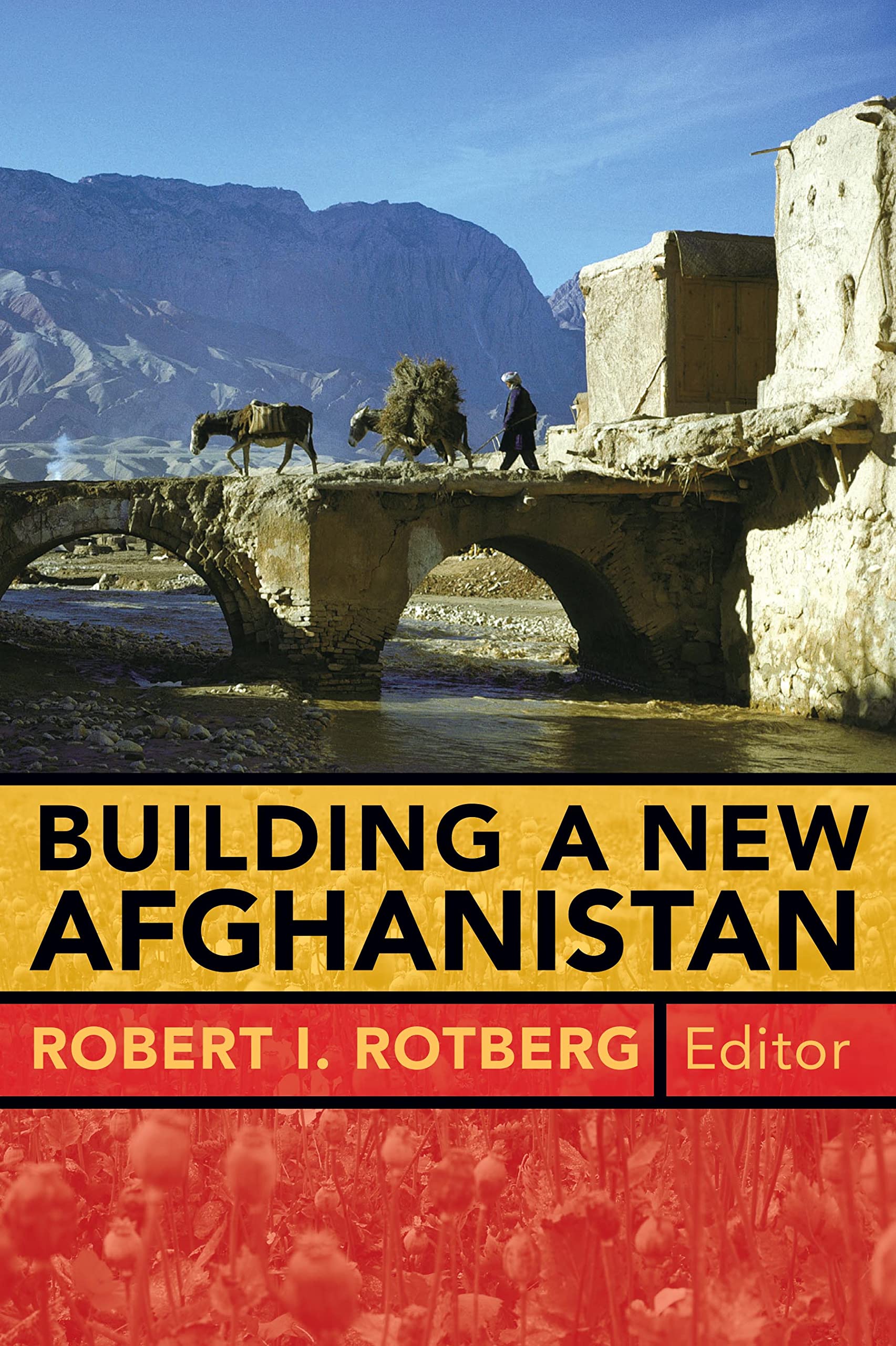 Buy Building a New Afghanistan — BookShops.in