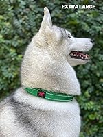 Vista 7 de Tuff Pupper Collar de perro resistente con asa Collar de nailon balístico resistente Collar de perro reflectante acolchado con herrajes de acero