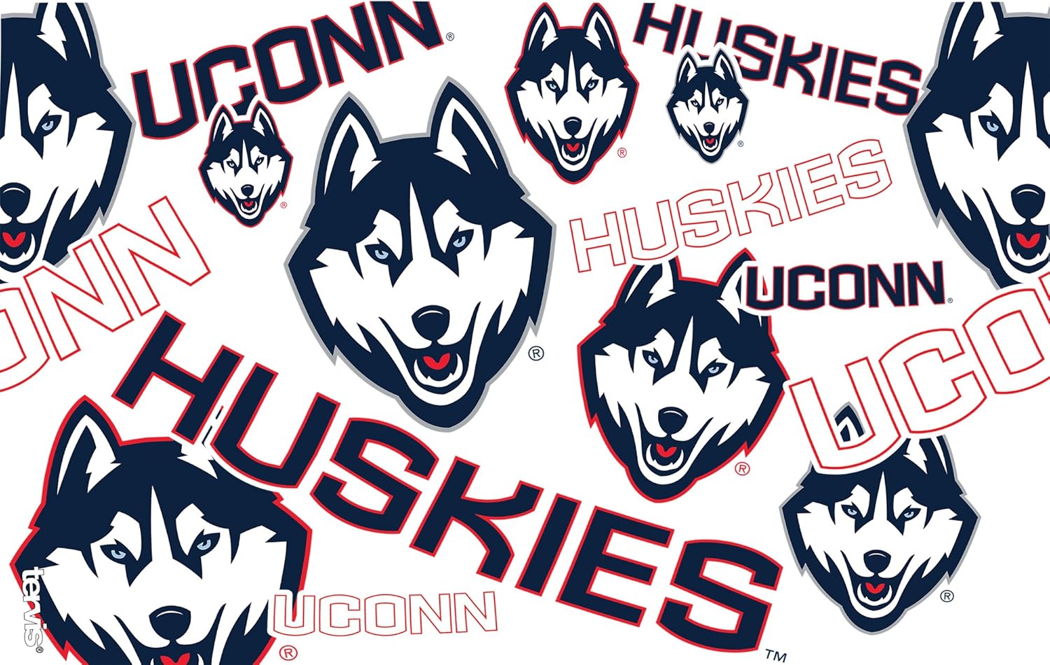 Tervis UConn Huskies All Over Tumbler with Wrap and Navy Lid 16oz, Clear - Image 2