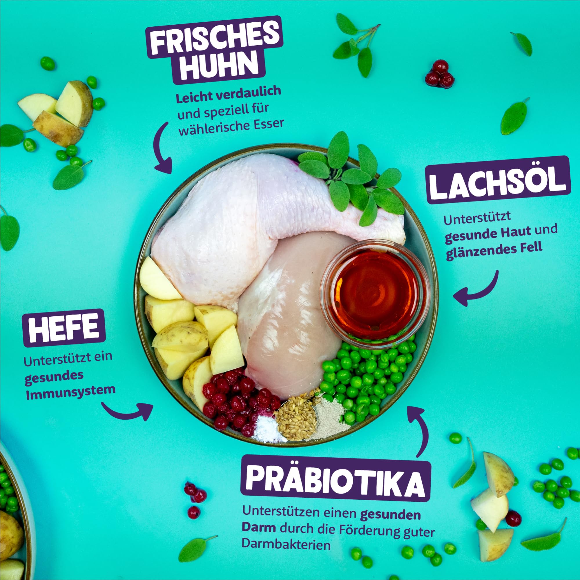 Image secondaire de Nourriture Sèche Naturelle pour Chat Adulte - Poulet Équilibré 2 kg