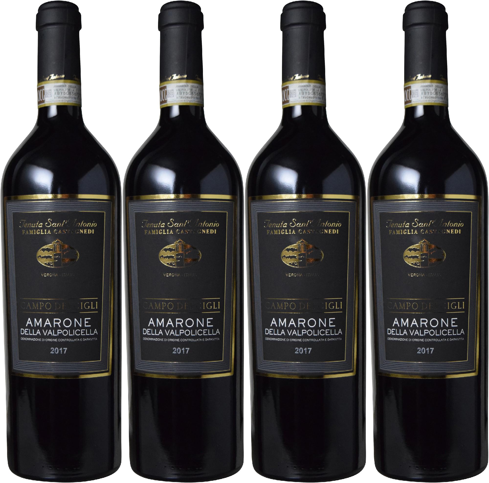 Amazon.co.jp: カンポ・デイ・ジーリ アマローネ・デッラ・ヴァルポリ