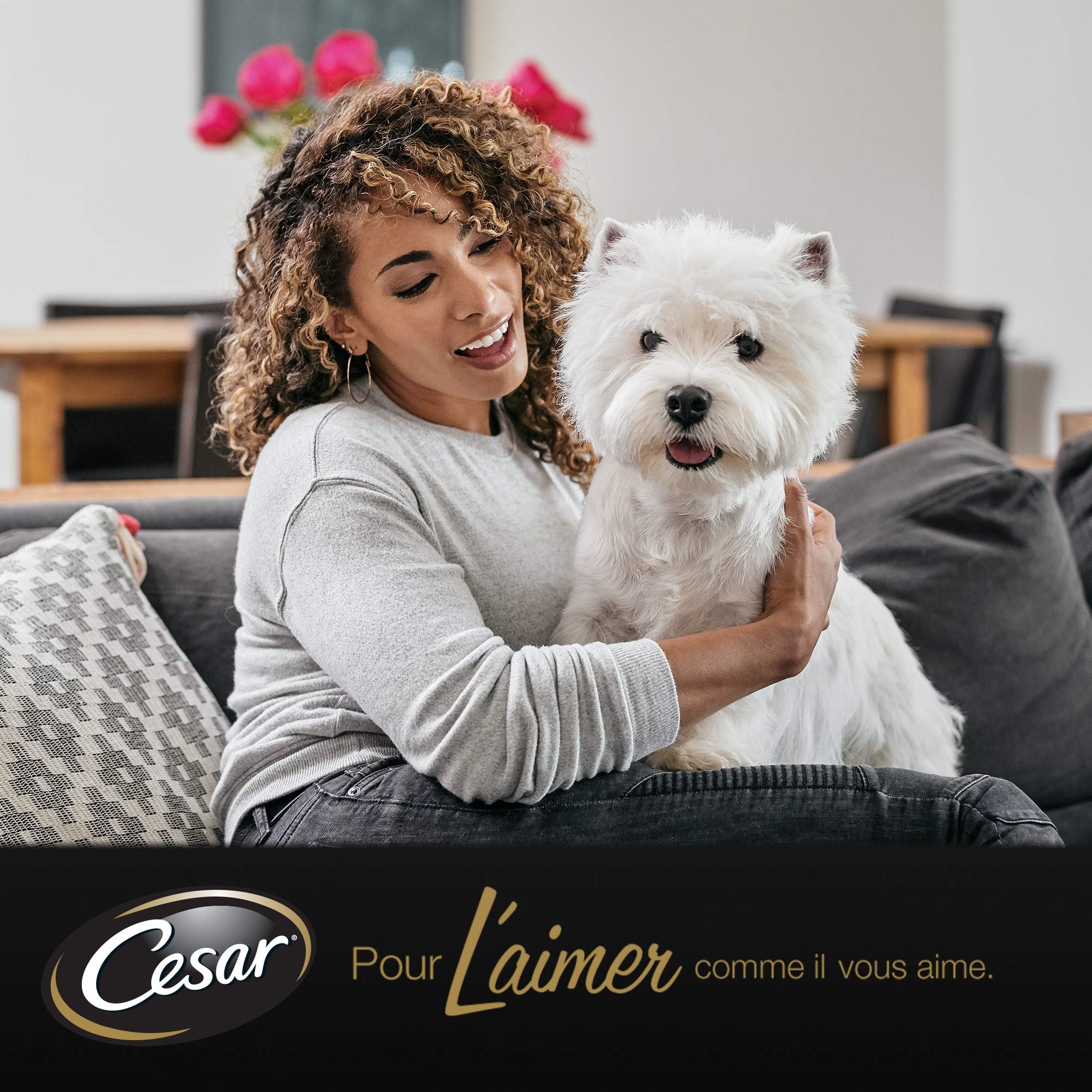 Cesar Délices Set de 13 x 4 Sachets Fraîcheurs en Gelée pour Chien Senior 10+ 100 g