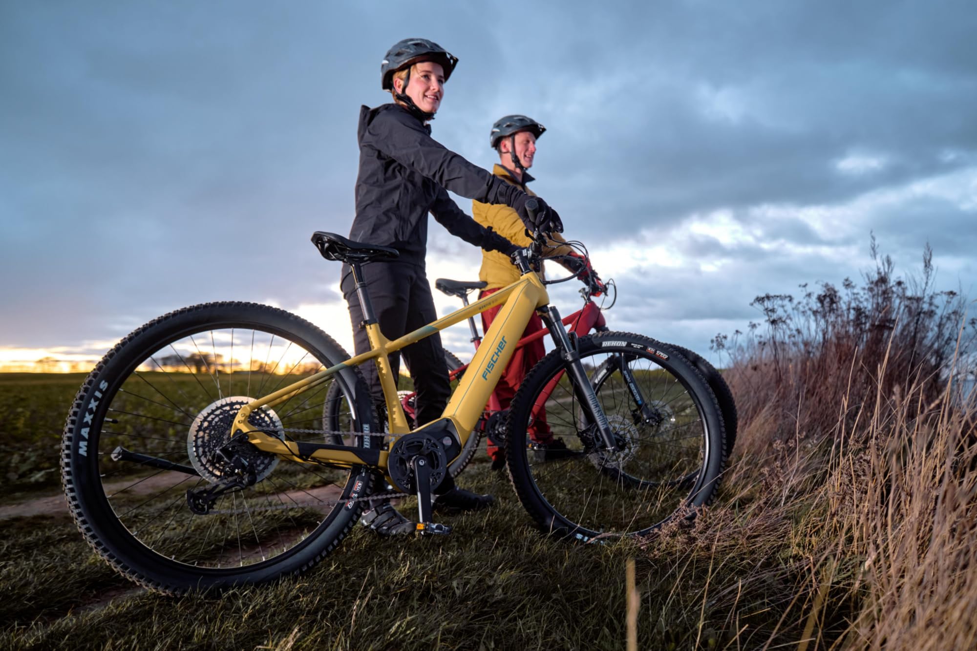 Fischer E-Mountainbike MONTIS 8.0i, Elektrofahrrad für Damen und Herren, RH 49 cm, Mittelmotor 90 Nm, 36 V Akku