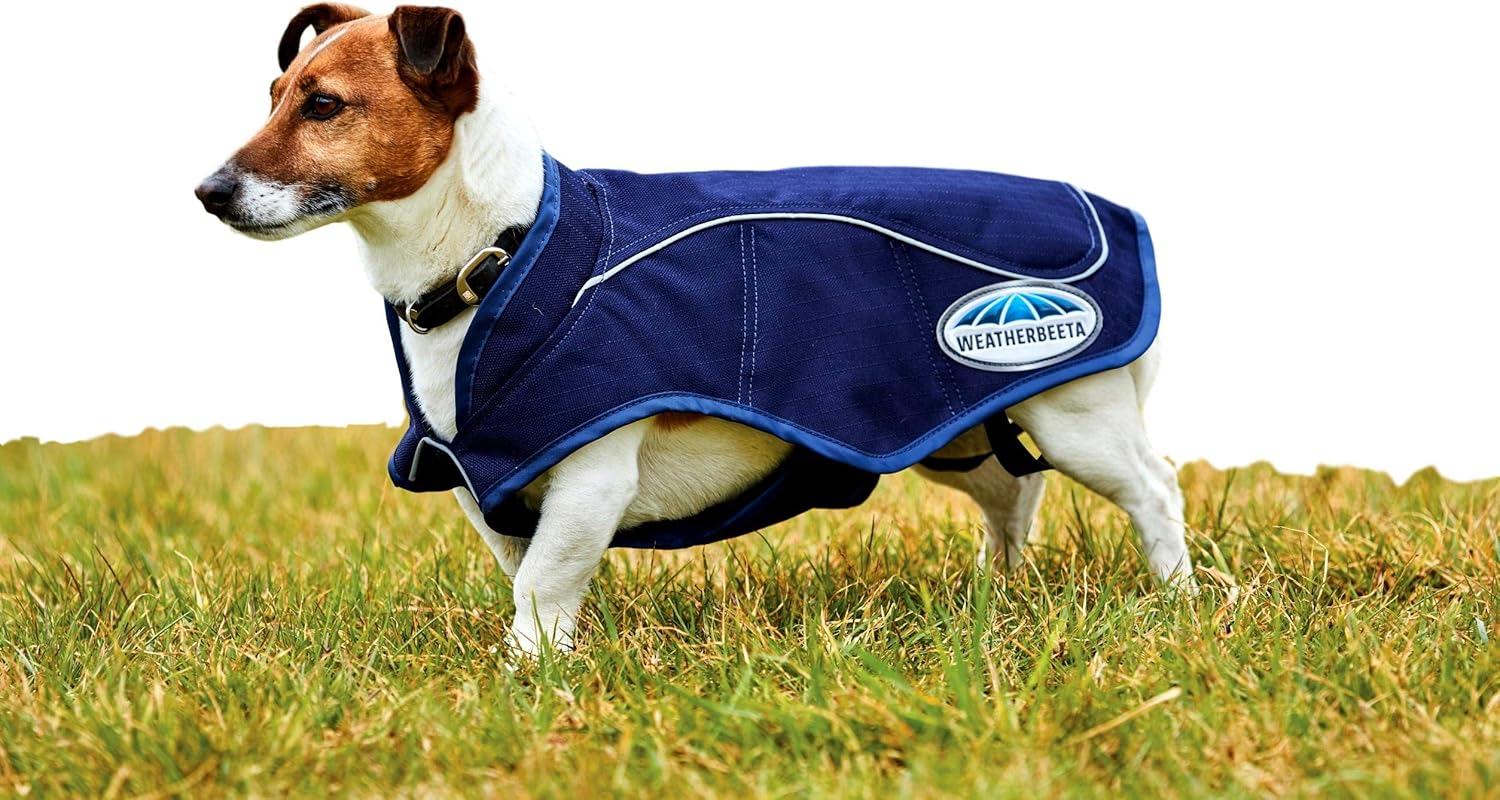 Weatherbeeta 1200D Exercise Dog Coat, Navy, 24" : Pet Supplies