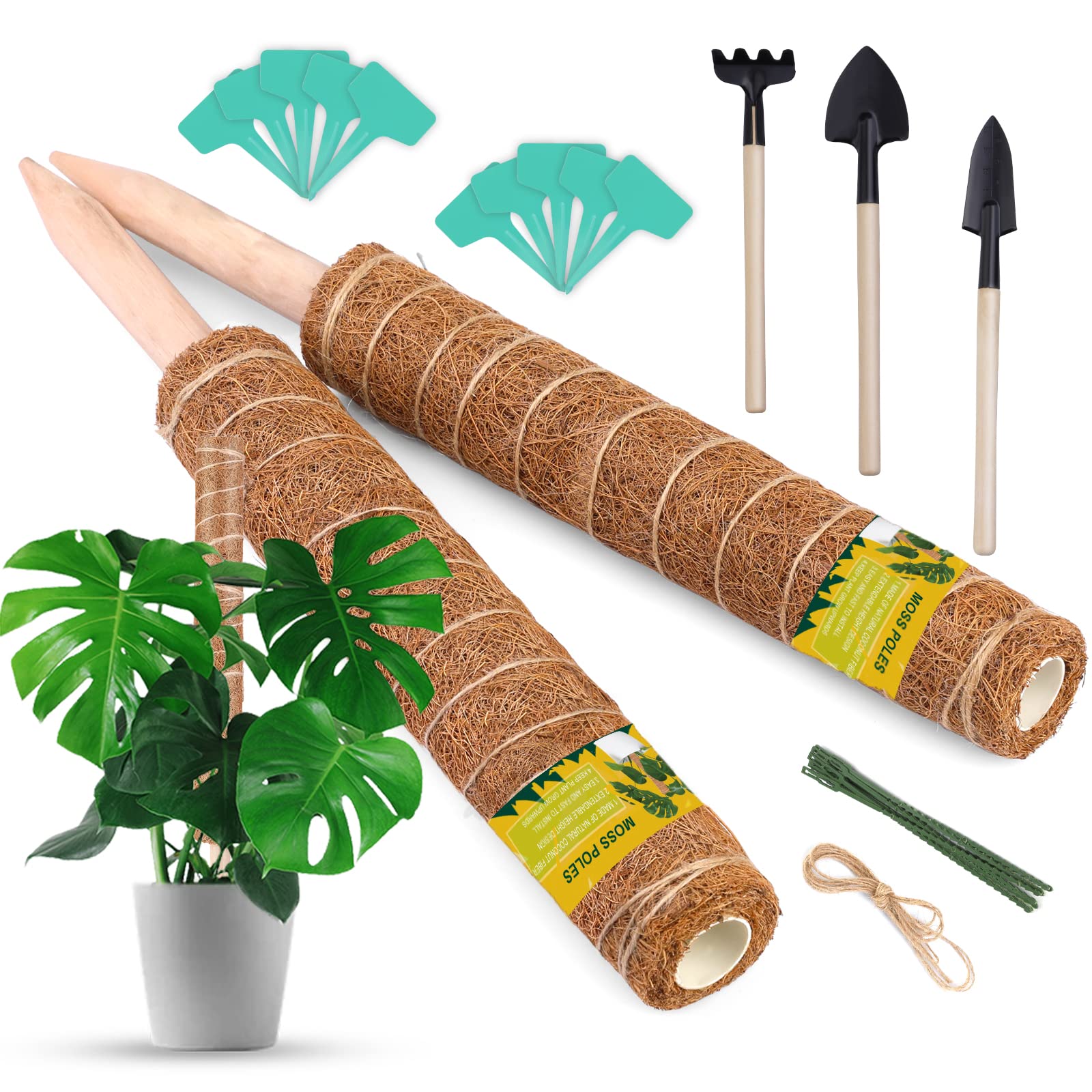 21-22 MOSS STICK 【WING PIN 59 】 WING PIN SERIES – Moss Snowstick