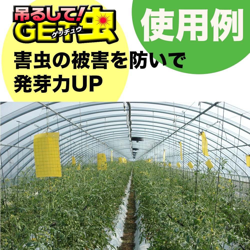 Amazon | 平城商事 虫とりシート 吊るしてGET虫ミニ(50枚入り