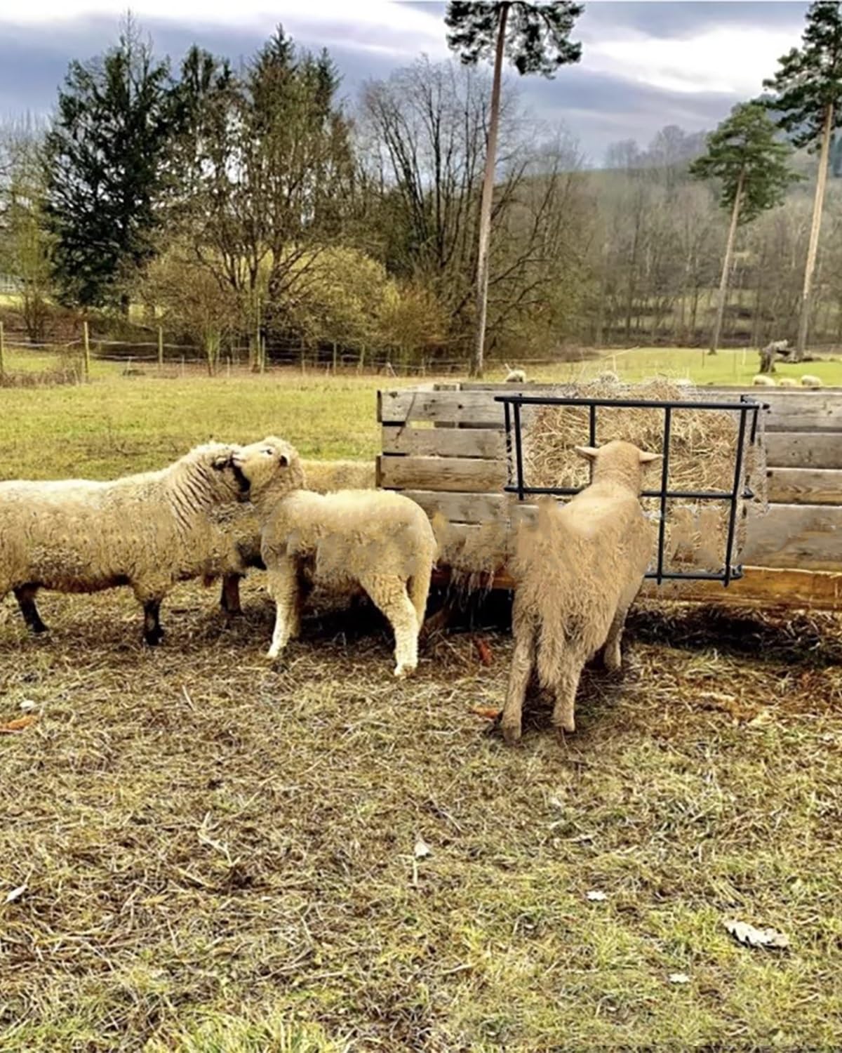 Comedero para caballos de montaje en pared con capacidad de 25 galones para alimentación de heno y cereales