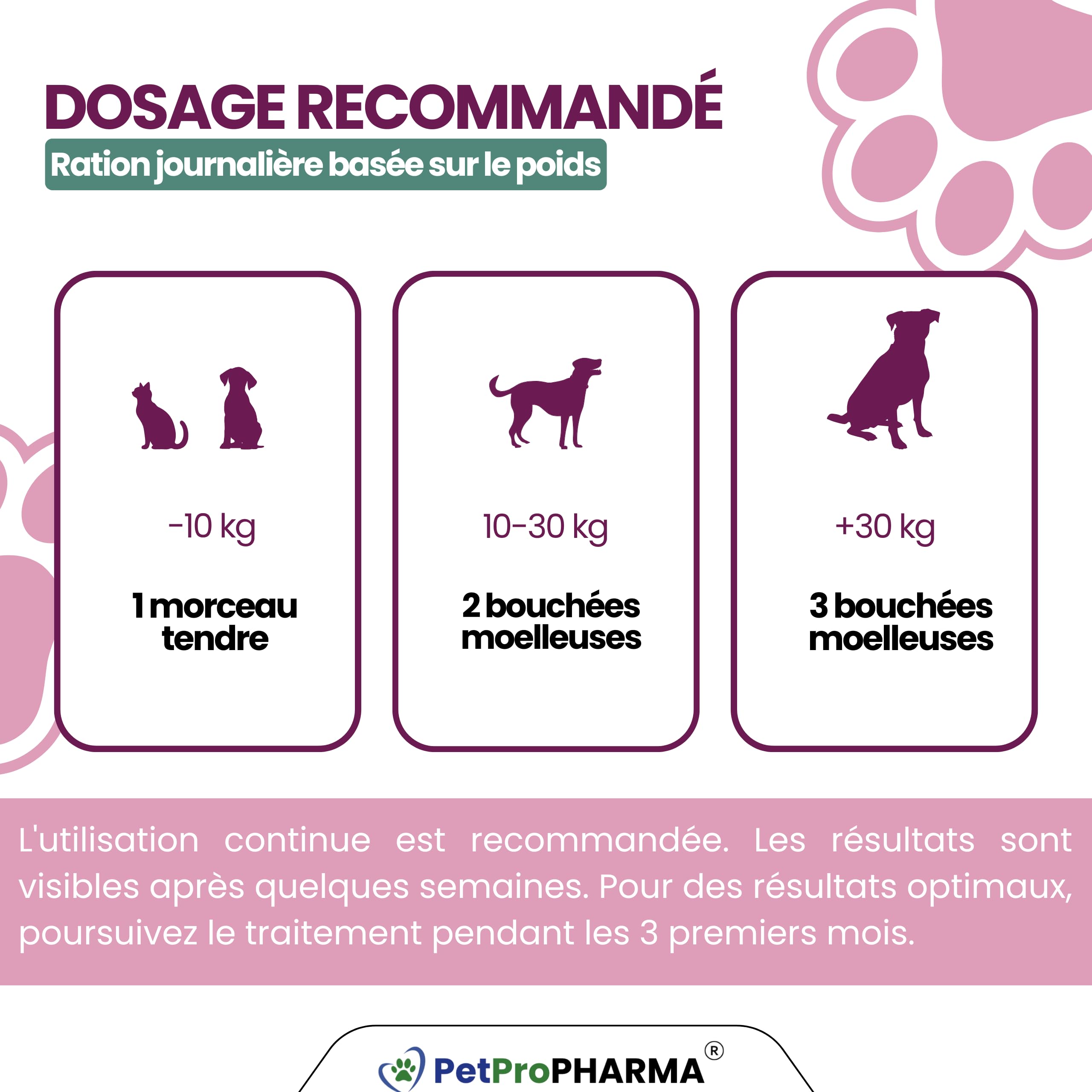 Probiotique Chien et Chat – Souches Actives + Prébiotiques Naturels | Flore Intestinale, Digestion, Selles Régulières, Immunité Renforcée | Complément Digestion & Santé Intestinale