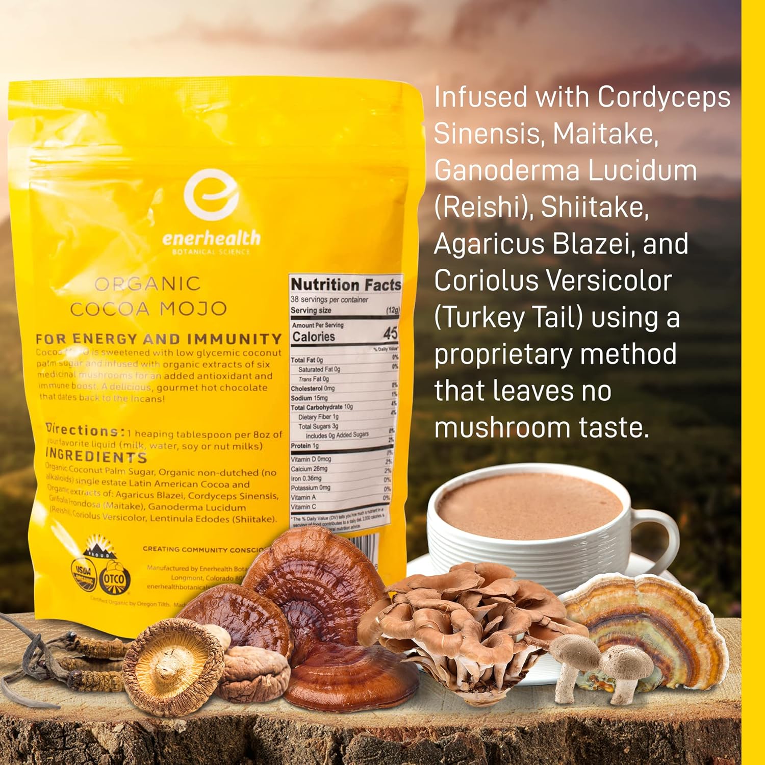 Enerhealth Botanicals Cocoa Mojo – Certified Organic Hot Chocolate Peruvian Cocoa Mix, Sweetened with Low Glycemic Coconut Palm Sugar and Infused with 6 Mushroom Extracts to Boost Immunity – 16 oz