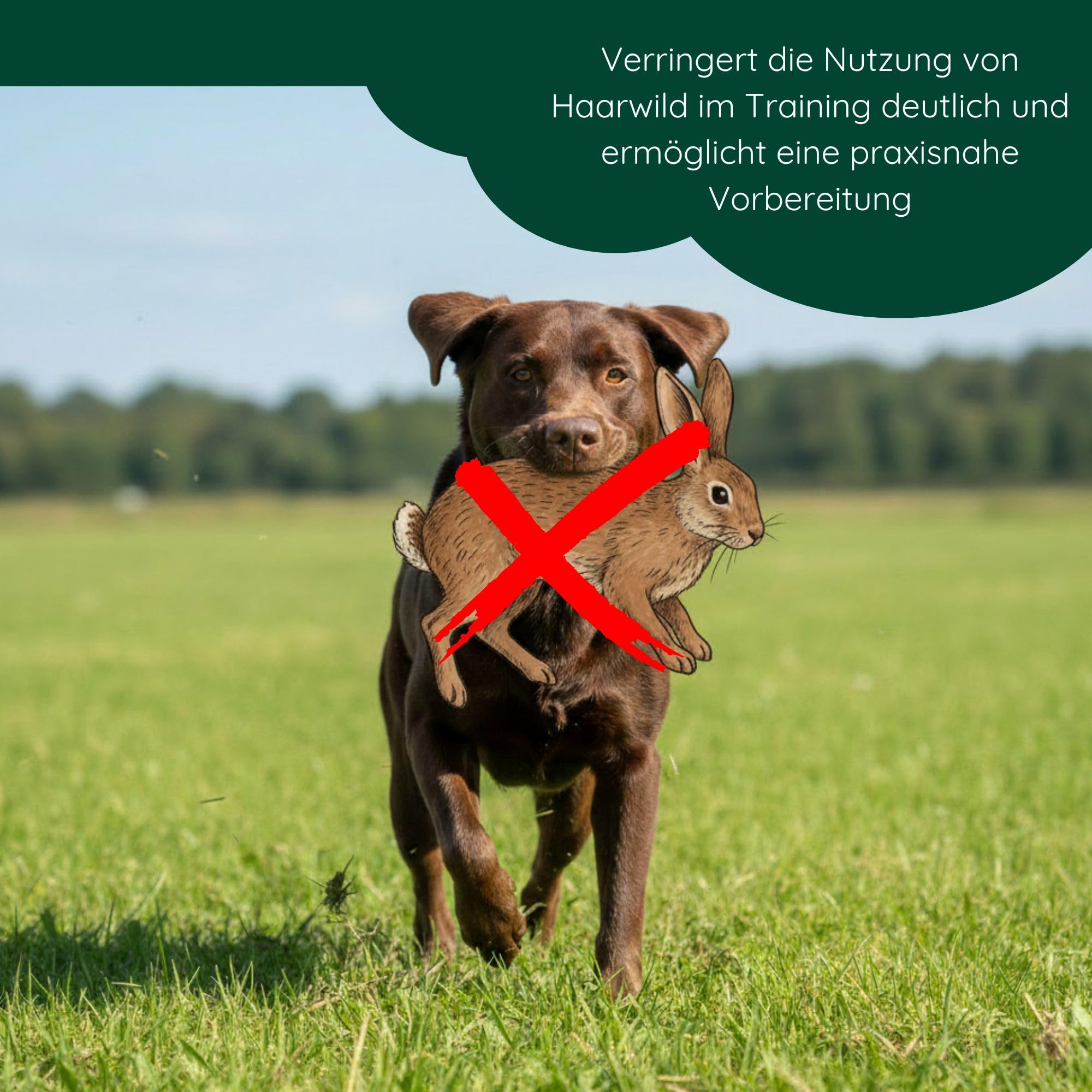 ROMNEYS Kaninchendummy | Standard-Dummy 500g mit echtem Kaninchenfell überzogen | Wild-Apportel für die jagdliche Hundeausbildung