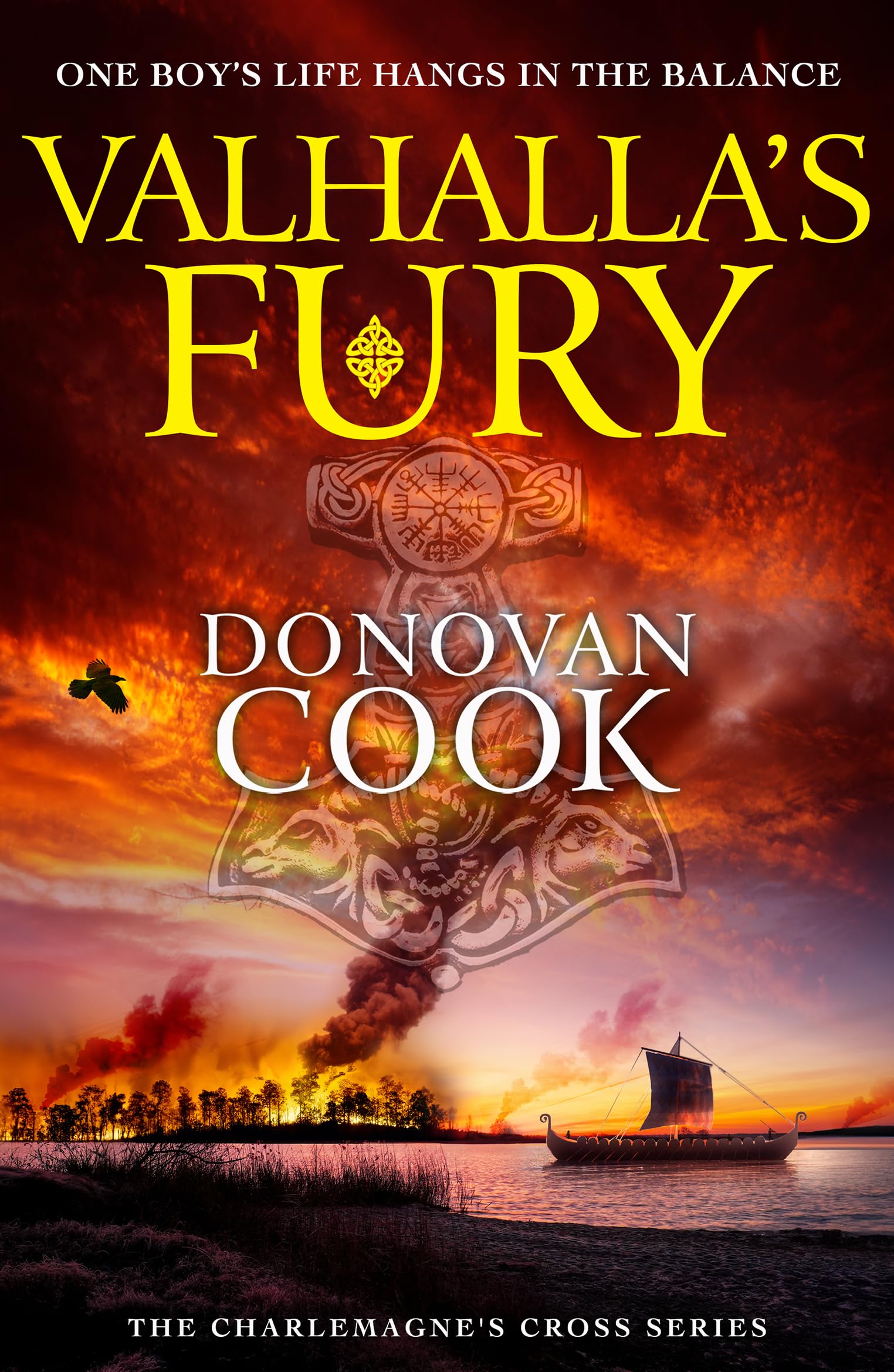 Valhalla's Fury: A Dark Ages historical adventure story from Donovan Cook (The Charlemagne's Cross Series Book 4) (English Edition)