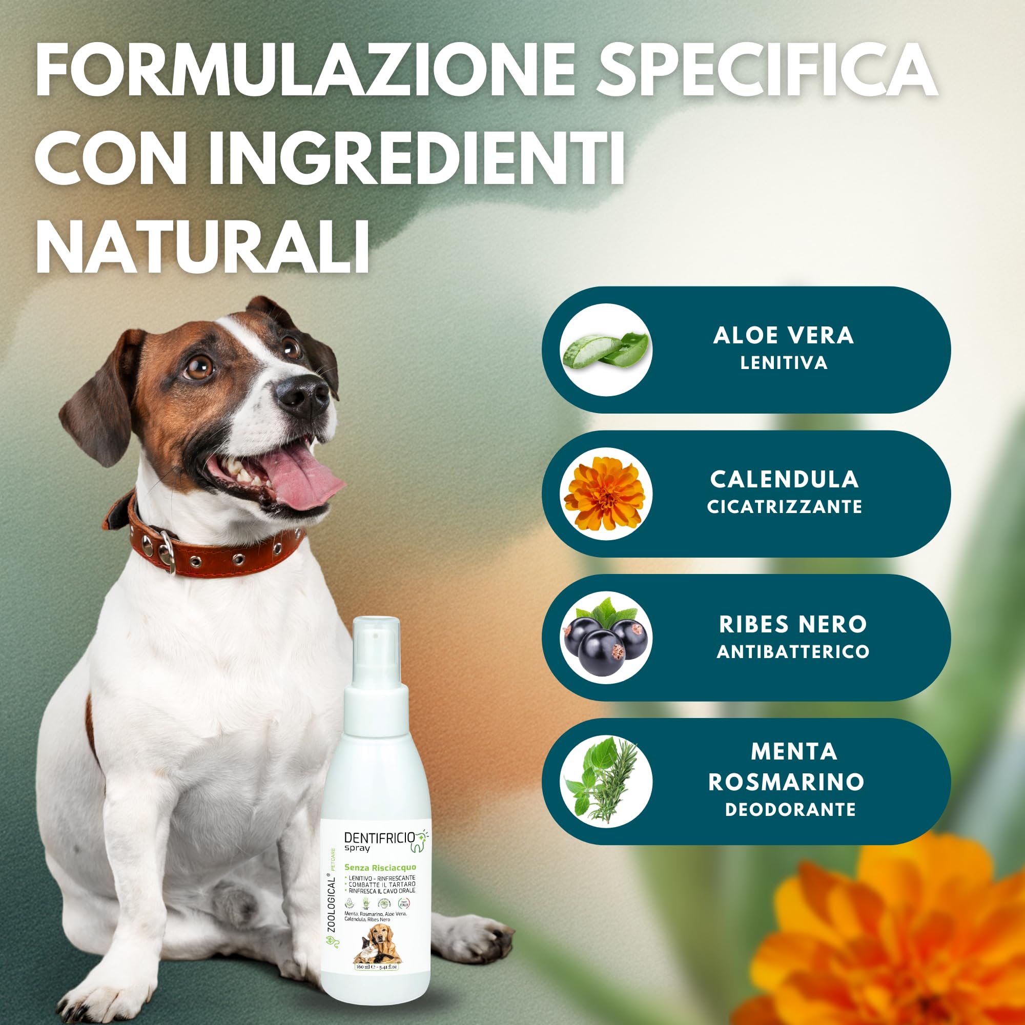 Dentifricio Spray per Cani e Gatti 160ml - Pulizia Denti Gengive Tartaro - Rinfresca Alito Menta Rosmarino