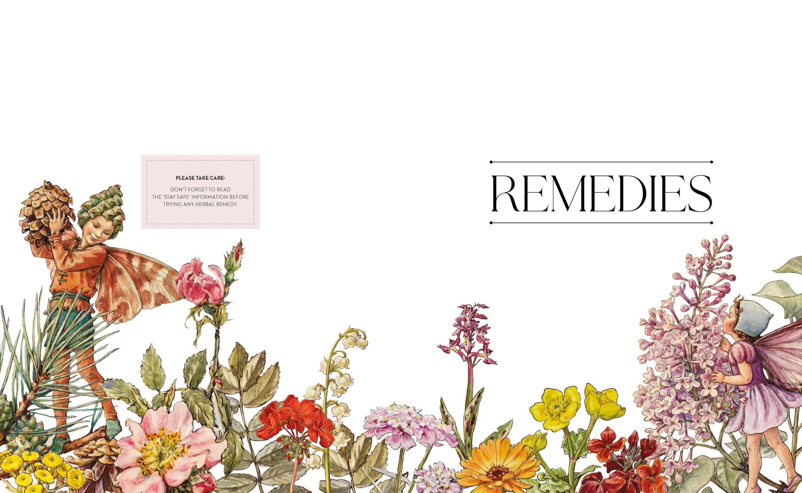 The Flower Fairies Herbal: Recipes and Remedies from the Hedgerow, Field and Forest.