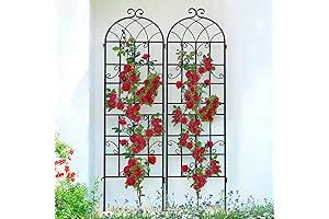 Durable Outside Trellis for Climbing Plants