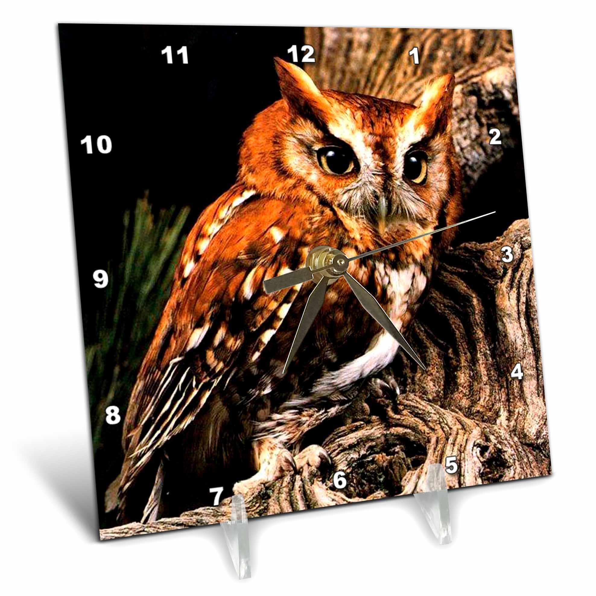 3dRose LLC Owl 6 by 6-Inch Desk Clock