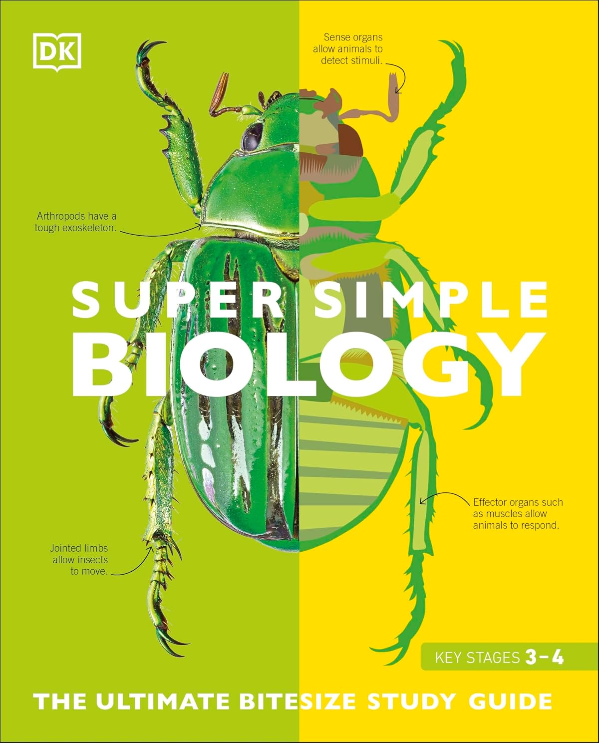 Super Simple Biology: The Ultimate Bitesize Study Guide